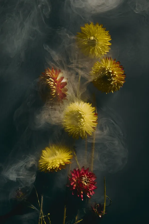 Fotografia still life creativa di fiori realizzata in studio